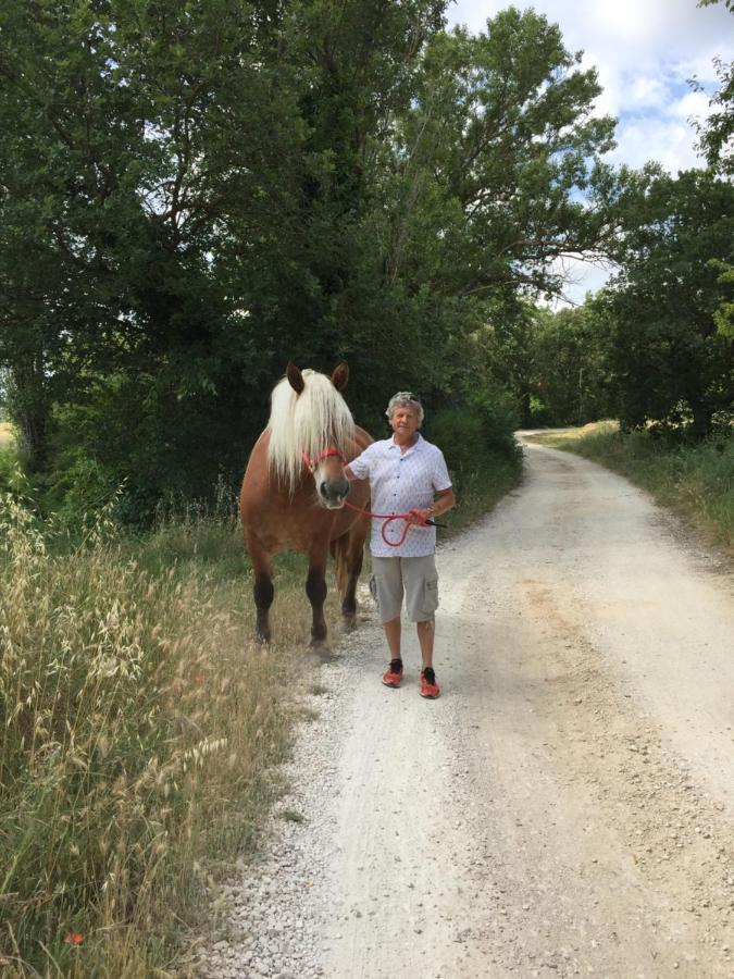 B&B Et Gite D'Ayran Saint-Quentin-la-Poterie Buitenkant foto