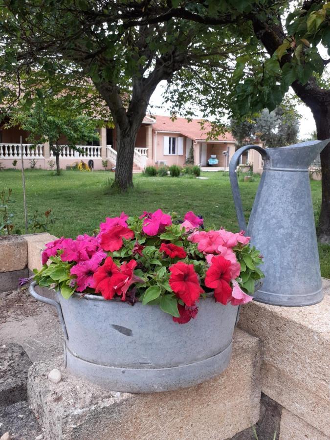 B&B Et Gite D'Ayran Saint-Quentin-la-Poterie Buitenkant foto